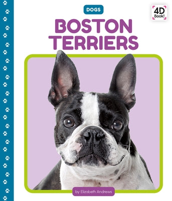 Boston Terriers by Andrews, Elizabeth