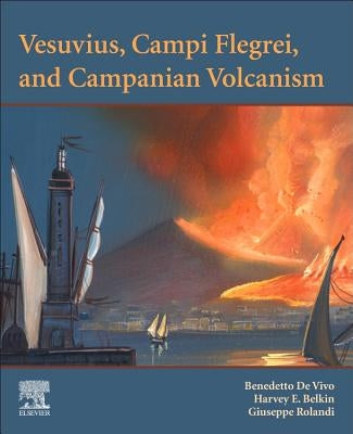Vesuvius, Campi Flegrei, and Campanian Volcanism by de Vivo, Benedetto