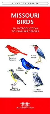 Great Lakes Trees & Wildflowers: A Folding Pocket Guide to Familiar Plants by Kavanagh, James