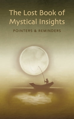 The Lost Book of Mystical Insights: Pointers & Reminders by D'Amico, Stephen