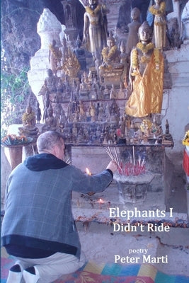 Elephants I Didn't Ride by Press, Virgogray