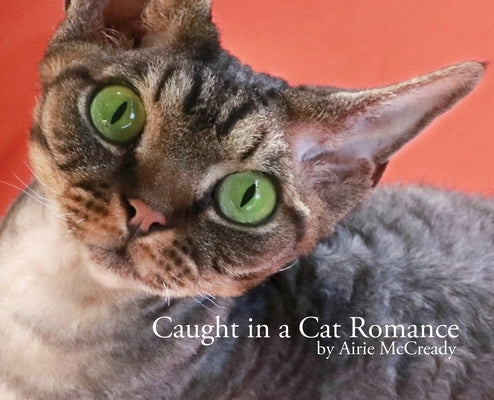 Caught in a Cat Romance by McCready, Airie