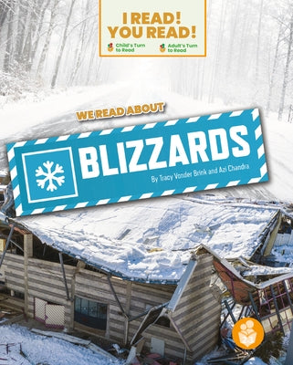 We Read about Blizzards by Brink, Tracy Vonder