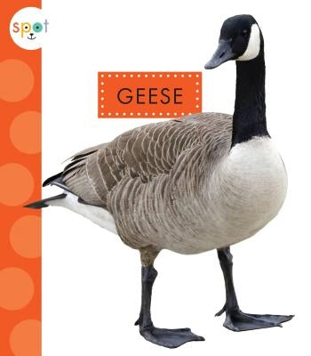Geese by Schuh, Mari C.