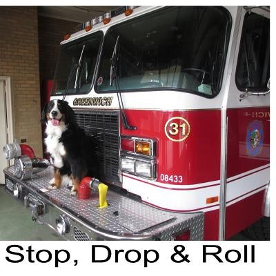 Stop, Drop & Roll by Mauck, Sam