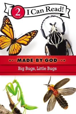 Big Bugs, Little Bugs: Level 2 by Zondervan