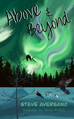 Above & Beyond by Aversano, Steve
