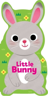 Little Bunny by Fischer, Maggie