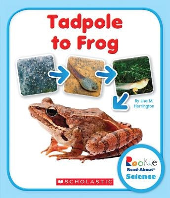 Tadpole to Frog (Rookie Read-About Science: Life Cycles) by Herrington, Lisa M.