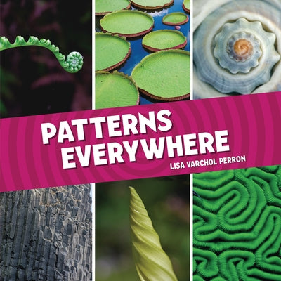 Patterns Everywhere by Perron, Lisa Varchol