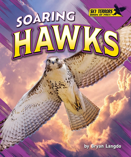 Soaring Hawks by Langdo, Bryan