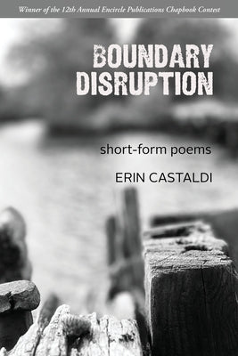 Boundary Disruption by Castaldi, Erin