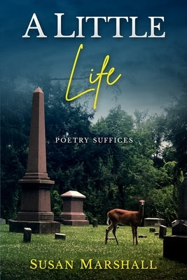 A Little Life by Marshall, Susan