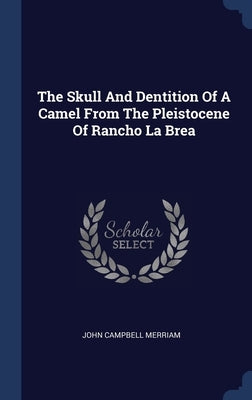 The Skull And Dentition Of A Camel From The Pleistocene Of Rancho La Brea by Merriam, John Campbell