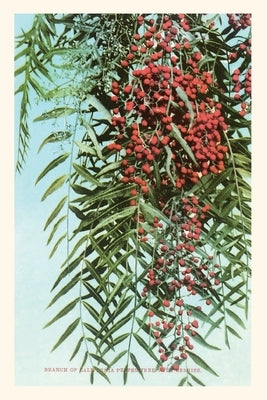 The Vintage Journal California Pepper Berries by Found Image Press