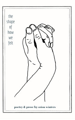 The Shape of How We Felt by Winters, Orion