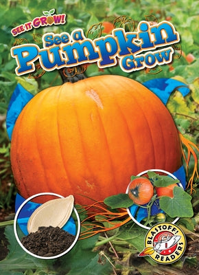 See a Pumpkin Grow by Chang, Kirsten