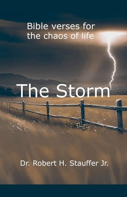 The Storm by Stauffer, Robert