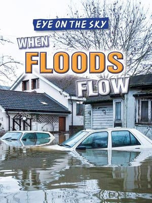 When Floods Flow by Linde, Barbara M.