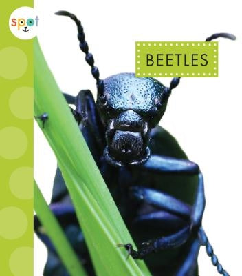 Beetles by Black, Nessa