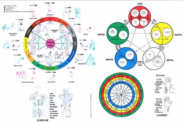Touch for Health Handy Assessment Chart: With 111 Metaphors on Reverse Side by Thie, John