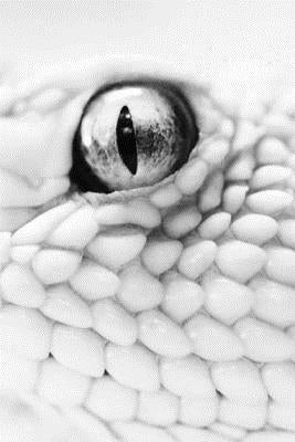 The Lair of the White Worm by Bram, Stoker