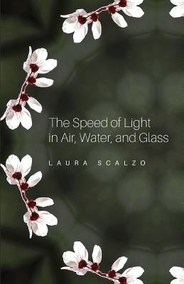 The Speed of Light in Air, Water, and Glass by Scalzo, Laura