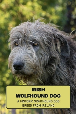 Irish Wolfhound Dog: A Historic Sighthound Dog Breed from Ireland: How Well You Know ABout Irish Wolfhound Dog? by Marcus, Lankford