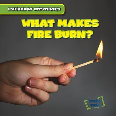 What Makes Fire Burn? by Laplante, Walter