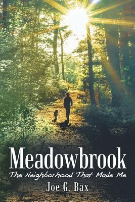 Meadowbrook: The Neighborhood That Made Me by Bax, Joe G.