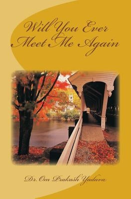 Will You Ever Meet Me Again by Yadava, Om Prakash