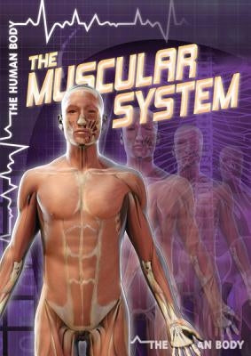 The Muscular System by Roza, Greg