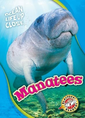 Manatees by Pettiford, Rebecca