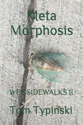 Meta Morphosis: Wet Sidewalks Two by Typinski, Tom
