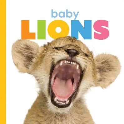 Baby Lions by Riggs, Kate