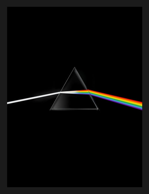 Pink Floyd: Their Mortal Remains by Broackes, Victoria