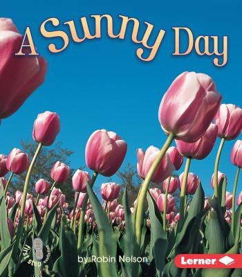 A Sunny Day by Nelson, Robin