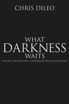 What Darkness Waits by DiLeo, Chris