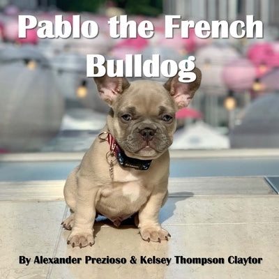 Pablo the French Bulldog by Prezioso, Alexander
