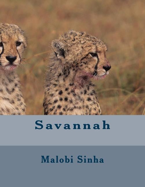 Savannah by Sinha, Malobi