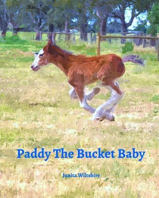 Paddy The Bucket Baby by Wiltshire, Junita