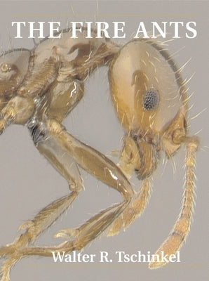 The Fire Ants by Tschinkel, Walter R.