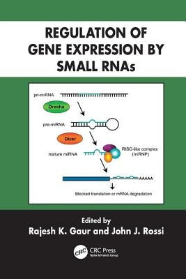 Regulation of Gene Expression by Small RNAs by Gaur, Rajesh K.