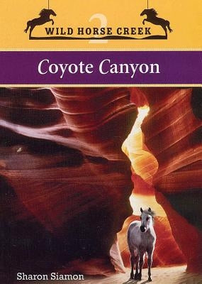 Coyote Canyon by Siamon, Sharon