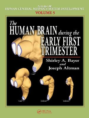 The Human Brain During the Early First Trimester by Bayer, Shirley A.