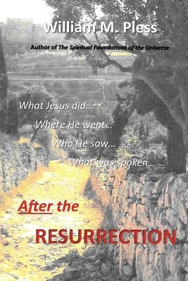 After the Resurrection: What Jesus did...Where he went...Who he saw...What was spoken... by Pless, William M.