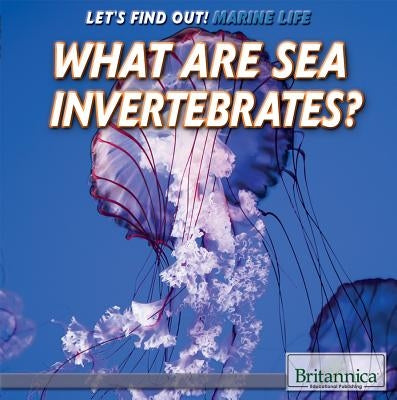 What Are Sea Invertebrates? by Quinlan, Julia J.