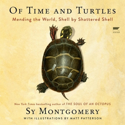 Of Time and Turtles: Mending the World, Shell by Shattered Shell by Montgomery, Sy
