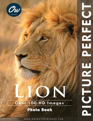 Lion: Picture Perfect Photo Book by Arelt, A.