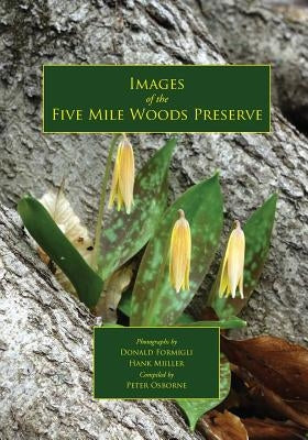 Images of the Five Mile Woods Preserve by Osborne, Peter